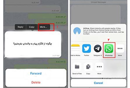 چگونه از تلگرام پیام برای واتساپ پیام بفرستیم
