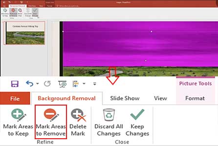 بررسی حذف پس زمینه عکس در آفیس