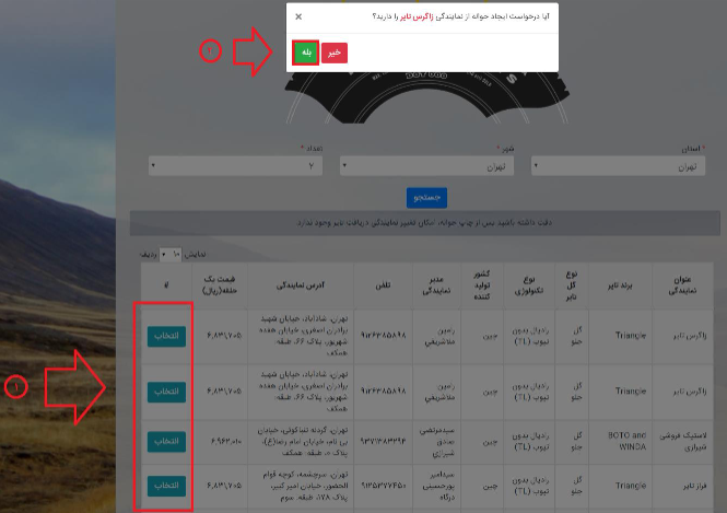 لاستیک دولتی